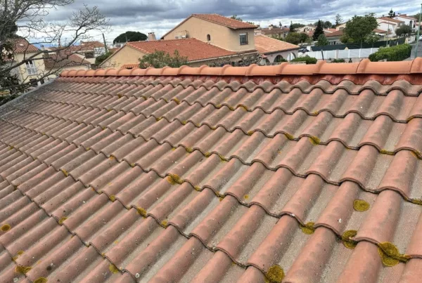 Réparation toiture Palau-del-Vidre